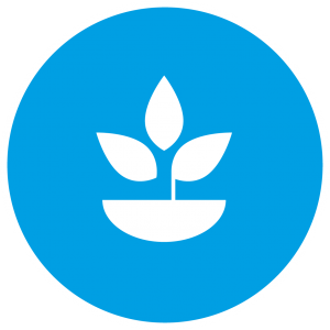 Projekte